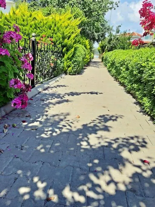 Poseidon Marine Villa Ildiri